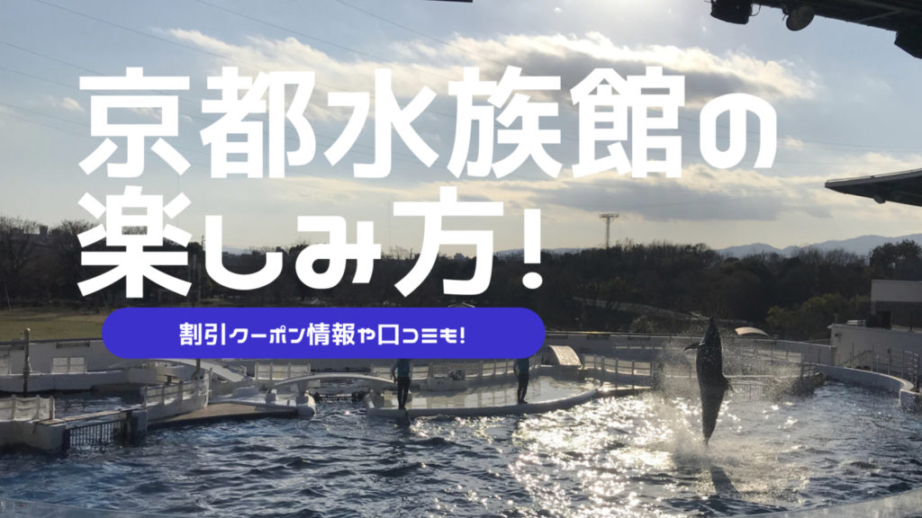 【割引クーポン】オオサンショウウオが大好きになっちゃう⁉京都水族館のイルカショー＆ペンギン・クラゲ徹底ガイド