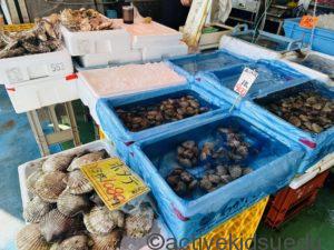 アクアマリンふくしま　周辺ランチスポット　いわき・ら・ら・みゅう内部　海鮮市場ブログ画像