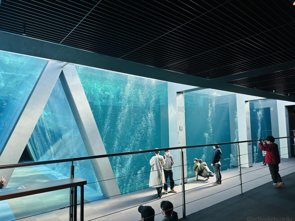 【アクアマリンふくしま・「潮目」を見る体験】水族館に黒潮と親潮が合わさる場所を再現！　美しい三角トンネルを見に行こう！