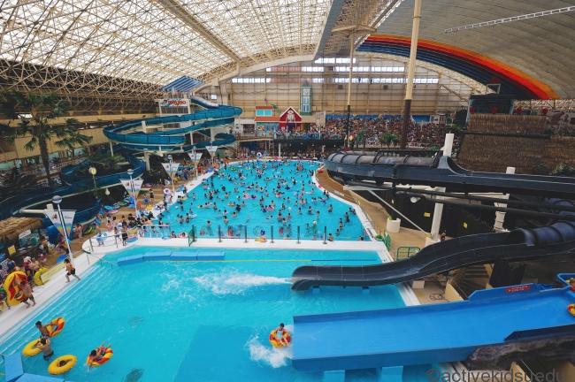 ハワイアンズ-3