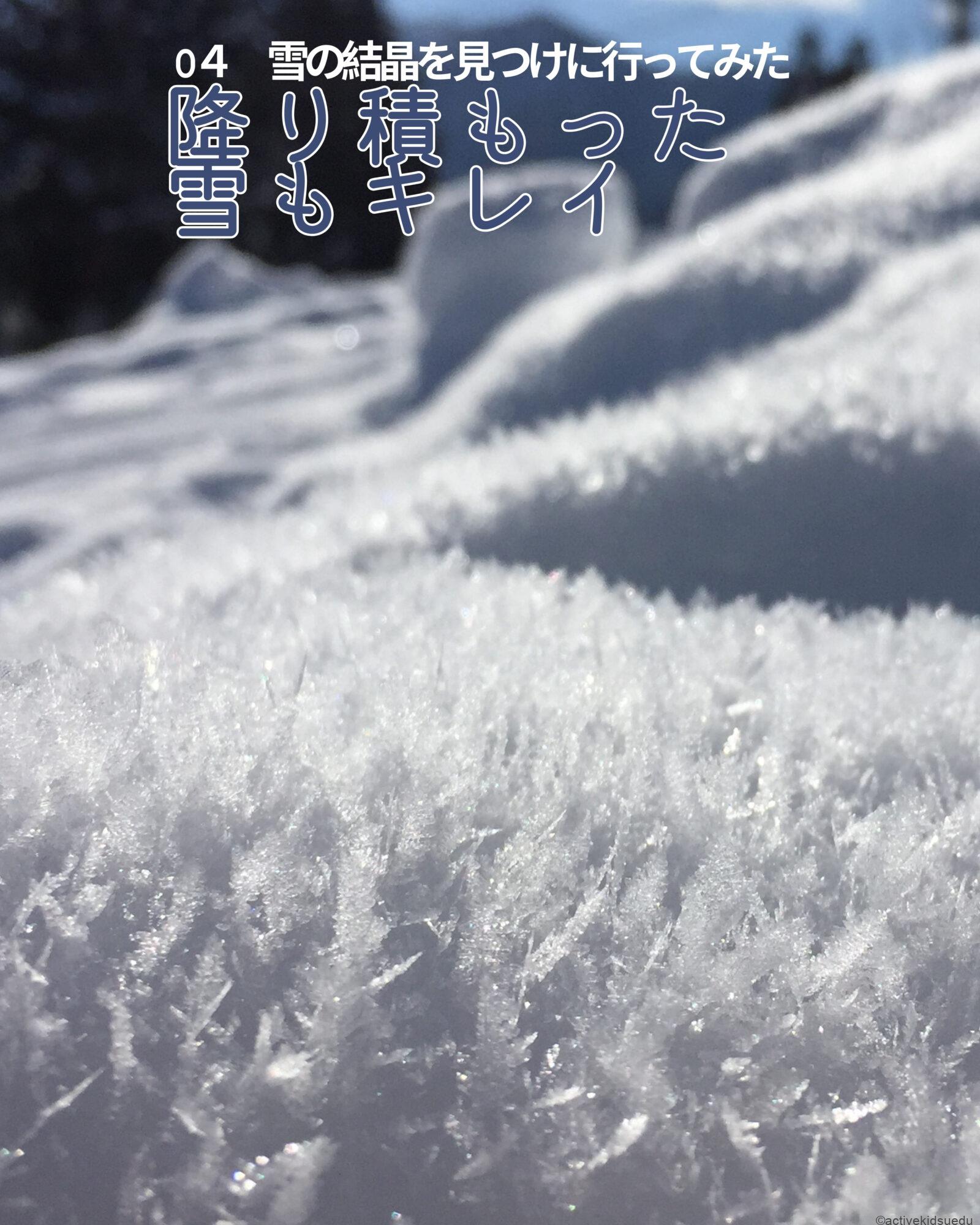 【子供とお出かけ雑学】雪の結晶を撮影＆観察！子供と体験するおすすめの方法　1月21日