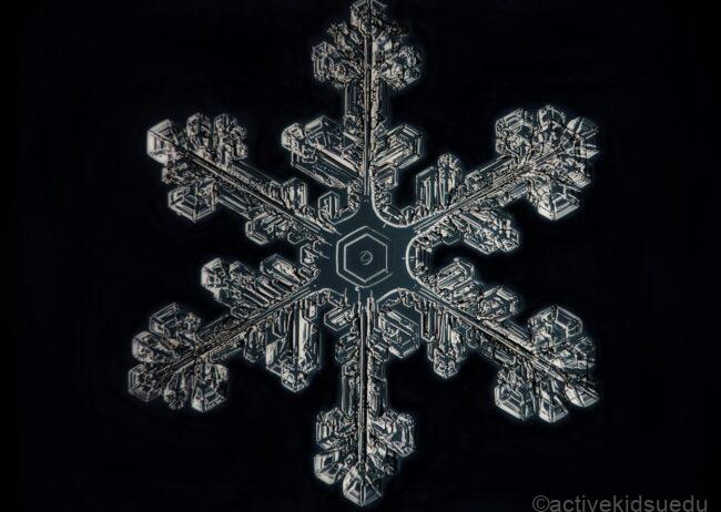 【子供とお出かけ雑学】雪の結晶を撮影&観察!子供と体験するおすすめの方法 1月21日