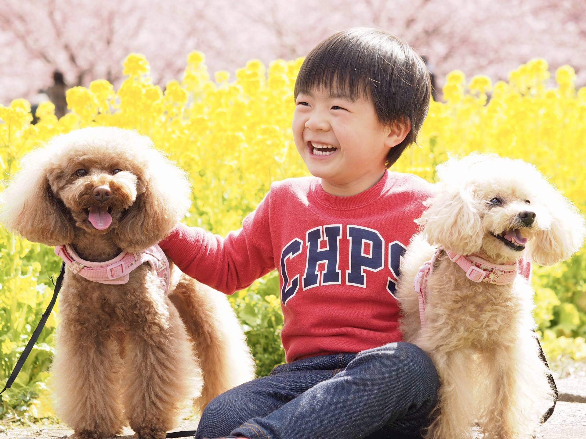 【関東・東日本割引・犬】子供が犬の散歩や犬とふれあい体験できるスポット8選／施設選びの注意点と事前に考えておきたいこと　お得な割引・オンラインチケット情報も！