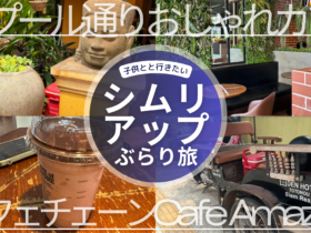 【子連れ写真レポ・アンコールワットのレストラン（シムリアップ観光）】Café Amazon（アマゾンカフェ）／日本人オーナーDEN HOTEL TOTONOU SIEM REAP「タプール通り」周辺カフェ