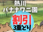 【割引術!熱川バナナワニ園】お得なクーポンどれが一番お得? 楽天・アソビュー・じゃらん・ホテル設置の割引全部同じ! 割引三重どりとは?