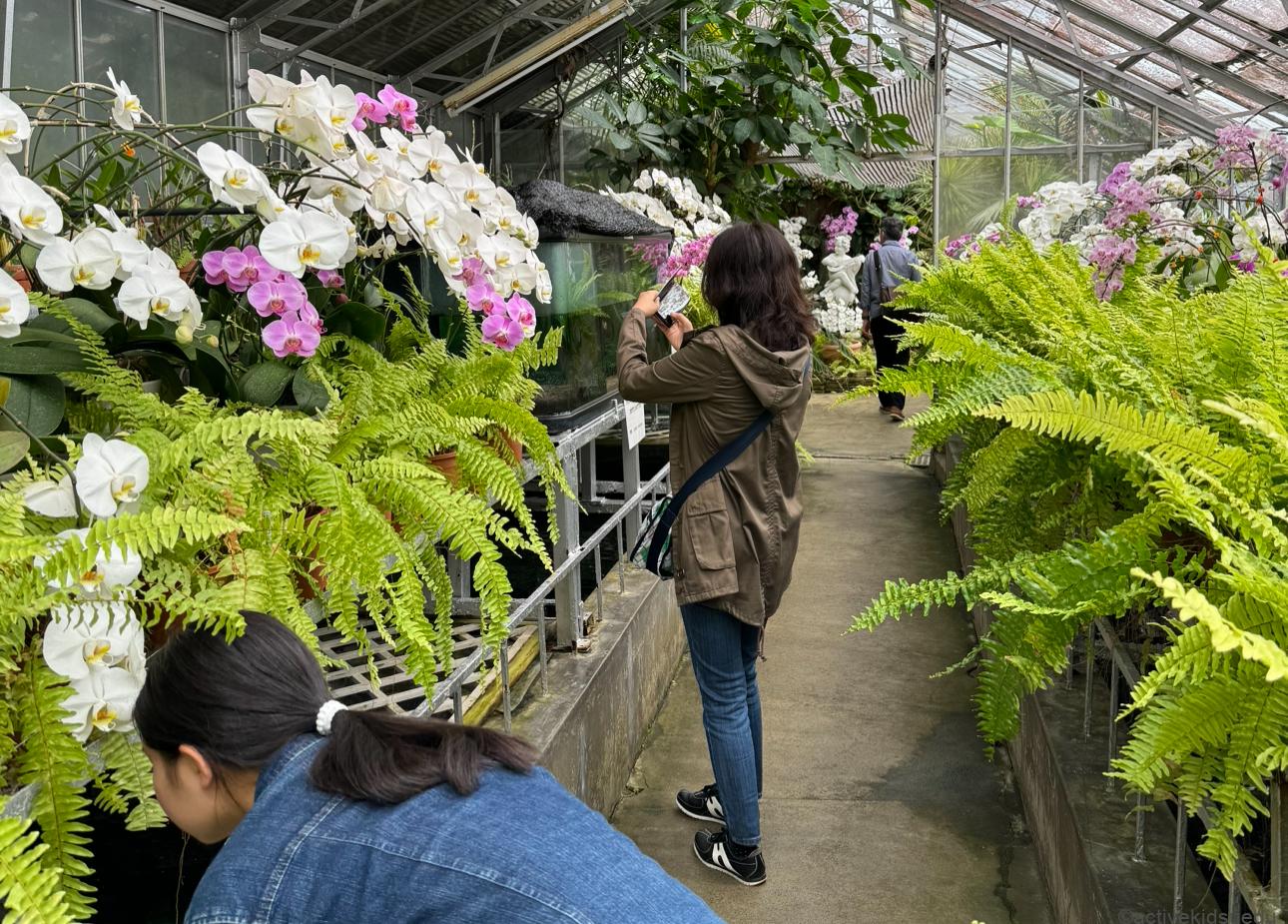 【伊豆観光・熱川バナナワニ園】バナナ&熱帯フルーツ&ヒスイカズラ&水連! 日本で初めて! 日本でココだけがいっぱい! 5つの見どころを紹介!