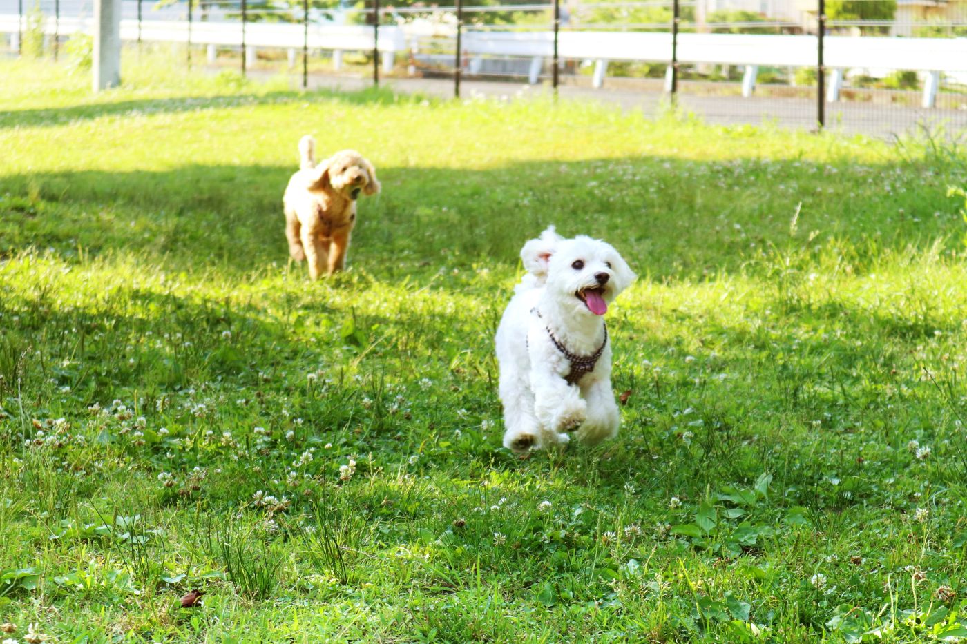【道の駅湘南ちがさき】アイスクリーム・舟盛りお刺身定食・地元野菜など!魅力いっぱい!