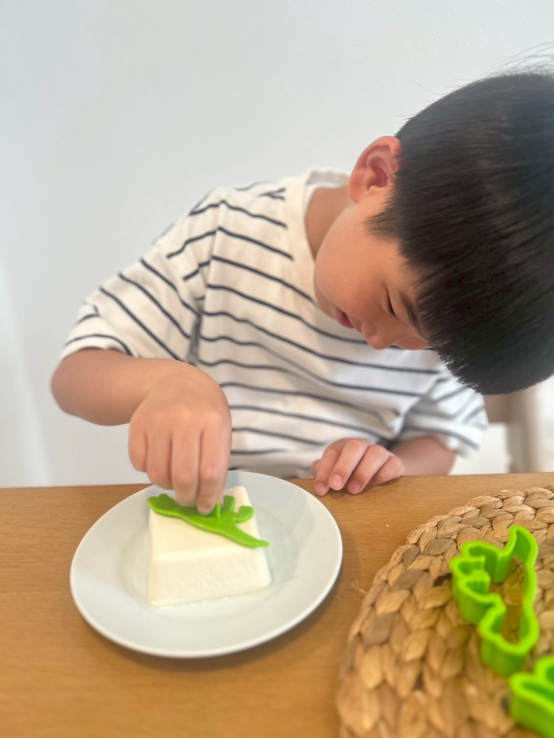 恐竜クッキー型が付録！福井県立恐竜博物館と作った！恐竜の化石がおうちで作れるクッキー型BOOK
