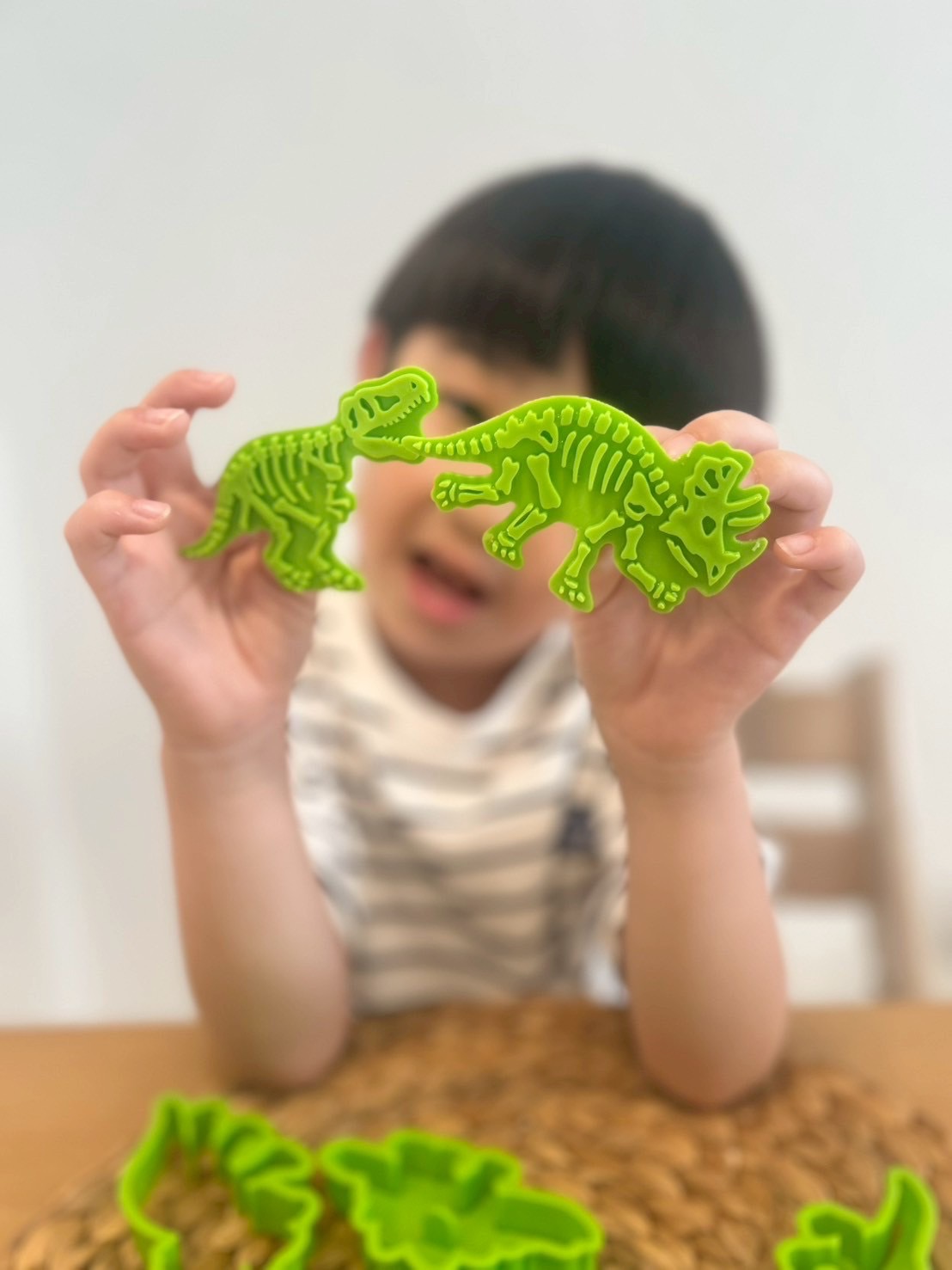 恐竜クッキー型が付録！福井県立恐竜博物館と作った！恐竜の化石がおうちで作れるクッキー型BOOK