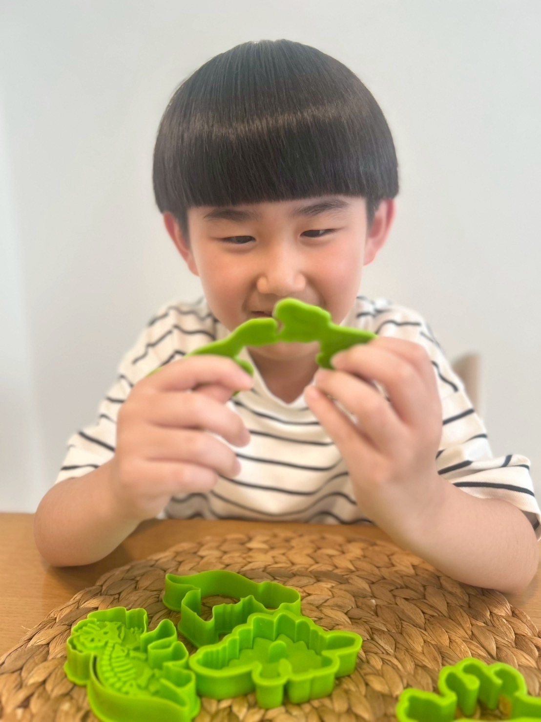 恐竜クッキー型が付録！福井県立恐竜博物館と作った！恐竜の化石がおうちで作れるクッキー型BOOK