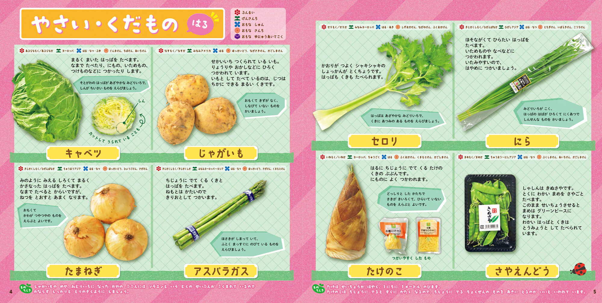 【大ヒット絵本図鑑】子供と一緒に学ぶ！『スーパーマーケットまるごとずかん』の魅力