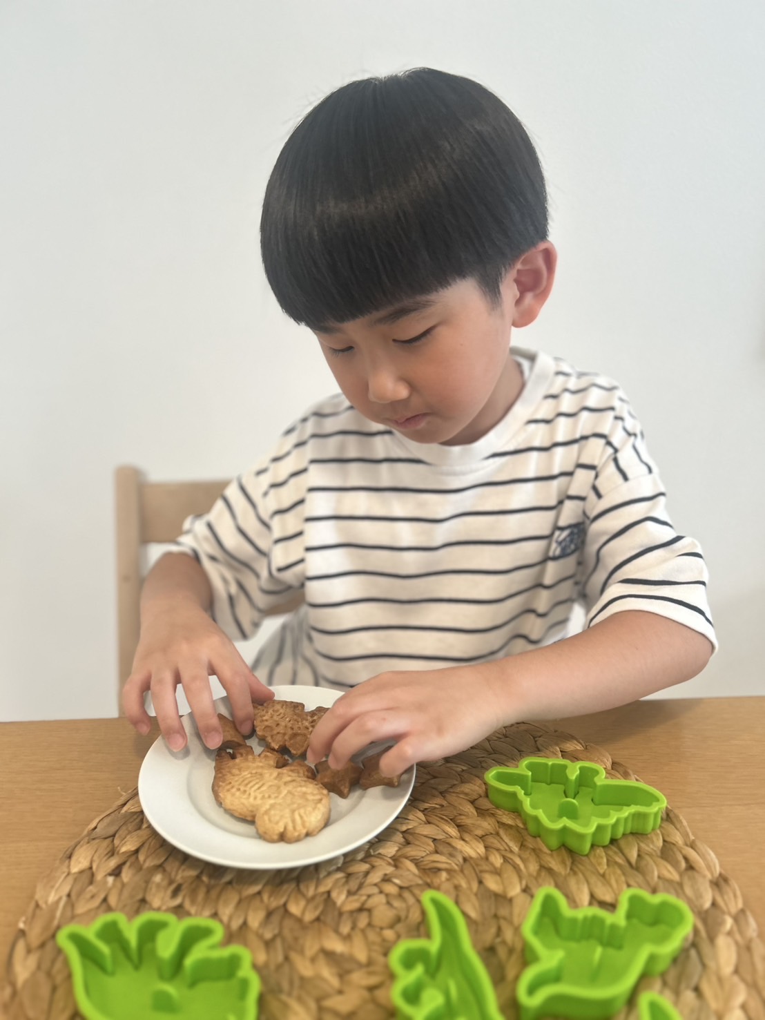 恐竜クッキー型が付録！福井県立恐竜博物館と作った！恐竜の化石がおうちで作れるクッキー型BOOK