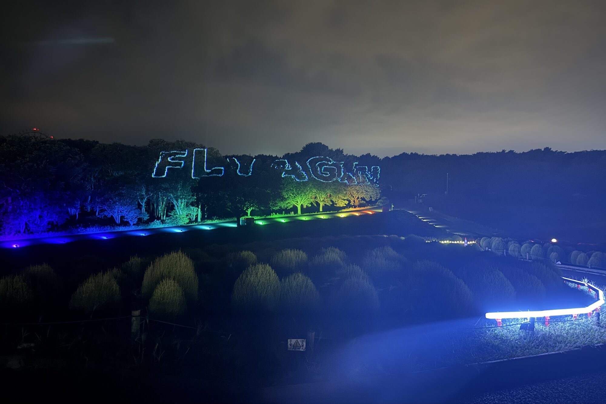 【イルミネーション2025・割引】コキアライトアップ2025で親子の思い出を作ろう！＠国営ひたち海浜公園